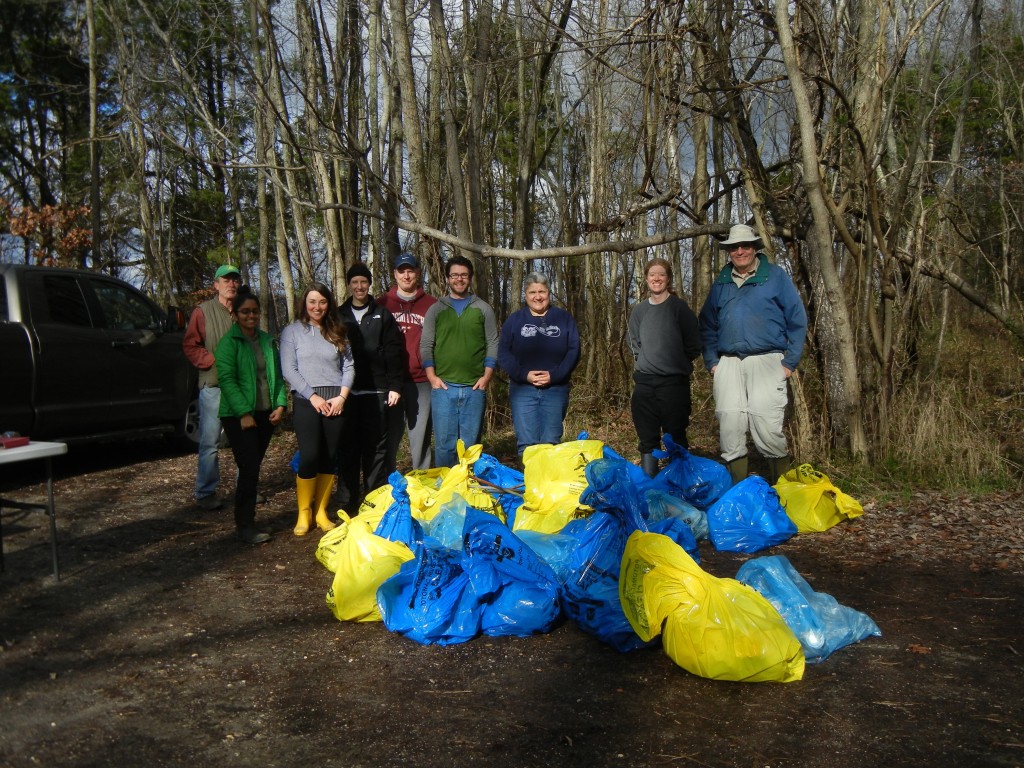 Shoreline cleanup volunteers