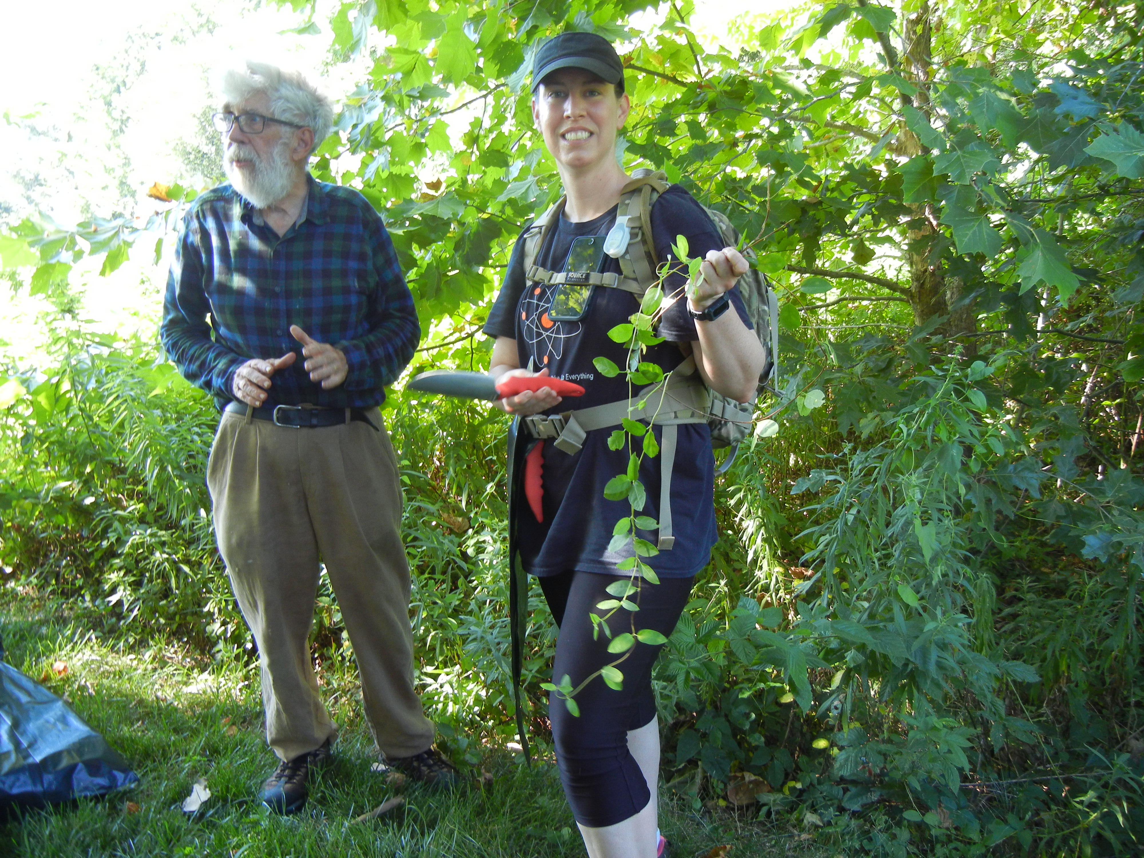 Volunteers removing Invasive Plants