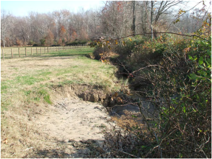 Eroded stream bank