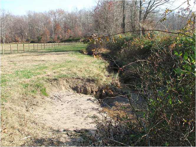 Eroded stream bank