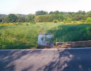 Swale site after construction