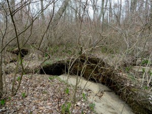 Church Creek in the South River Watershed before restoration