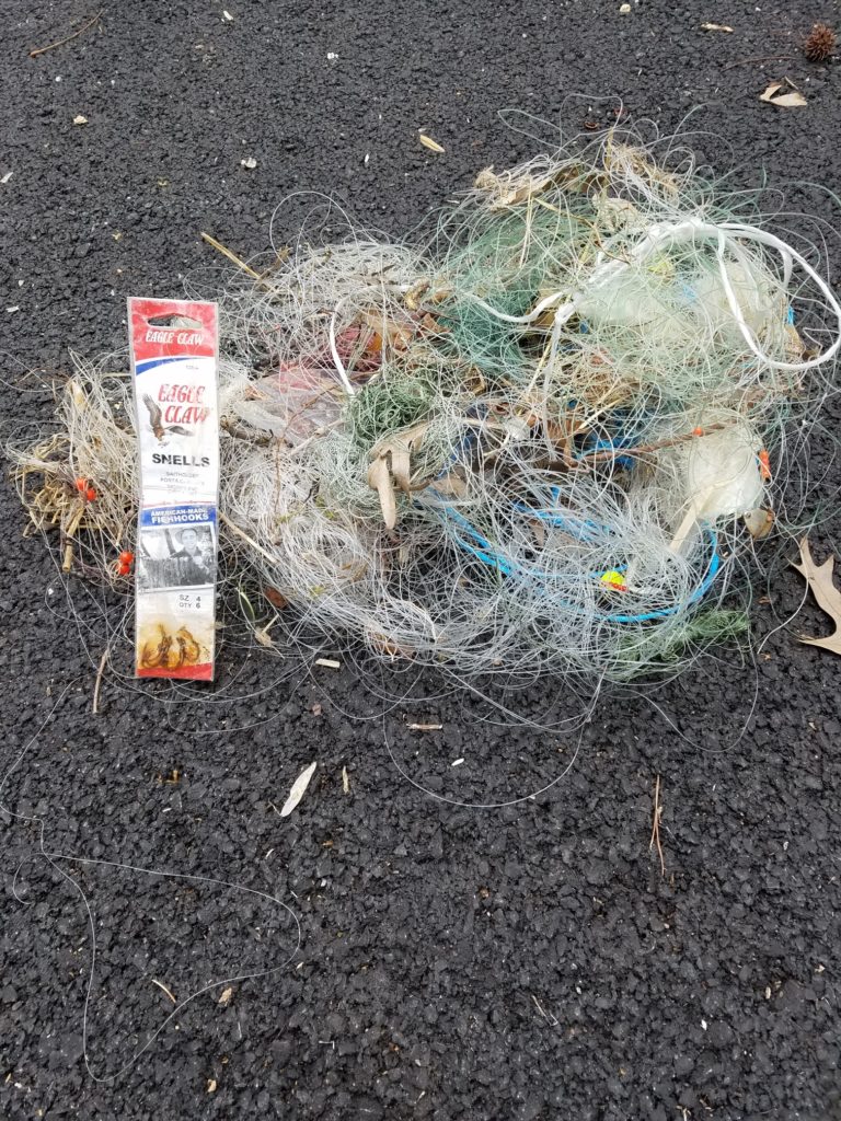 Discarded hook claims life of cygnet as 'terrible toll' of fishing litter  grows