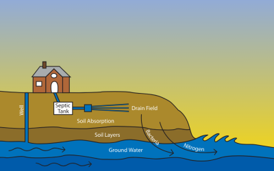 How Our Septic Systems Protect Our Watershed