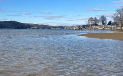 Autumn on the River: Slow Down and Soak It Up